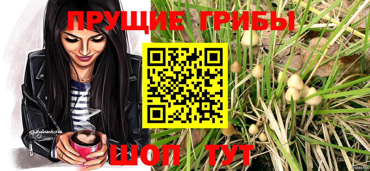 Псилоцибиновые грибы GOLDEN TEACHER Ртищево